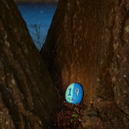 image number birthday 19 tree river