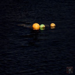 image estuary night buoys