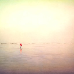 image coast mist sea sky beach