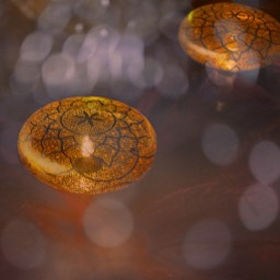 image reflection table restautant cafe 