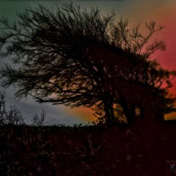 image landscape sunset